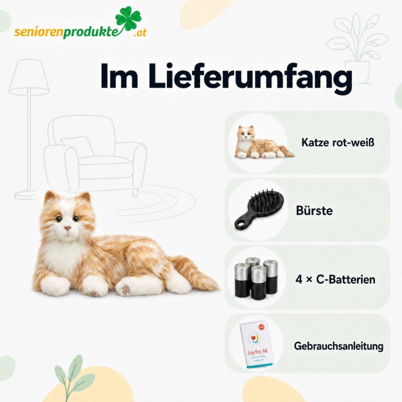 Infografik Lieferumfang: Katze rot-weiß, Bürste, 4 C-Batterien, Gebrauchsanleitung