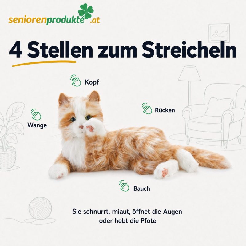 Infografik: Sensoren der Demenzkatze an Kopf, Wange, Rücken und Bauch