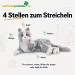 Infografik: Sensoren der Demenzkatze an Kopf, Wange, Rücken und Bauch