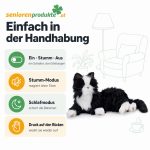 Infografik: Schalter Ein, Stumm, Aus, Stumm-Modus, Schlafmodus, Druck auf den Rücken weckt die Katze