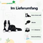 Infografik Lieferumfang: Katze schwarz-weiß, Bürste, 4 C-Batterien, Gebrauchsanleitung