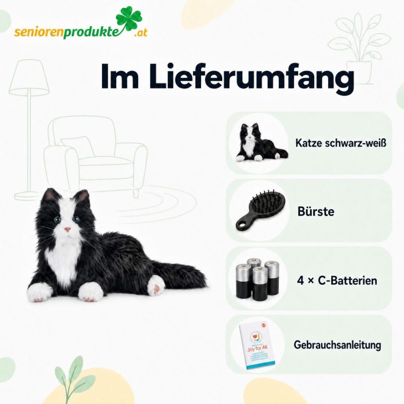 Infografik Lieferumfang: Katze schwarz-weiß, Bürste, 4 C-Batterien, Gebrauchsanleitung