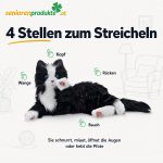 Infografik: Sensoren der Demenzkatze an Kopf, Wange, Rücken und Bauch